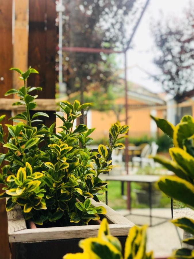 Dolce Nera B&B Narni Scalo Exterior foto
